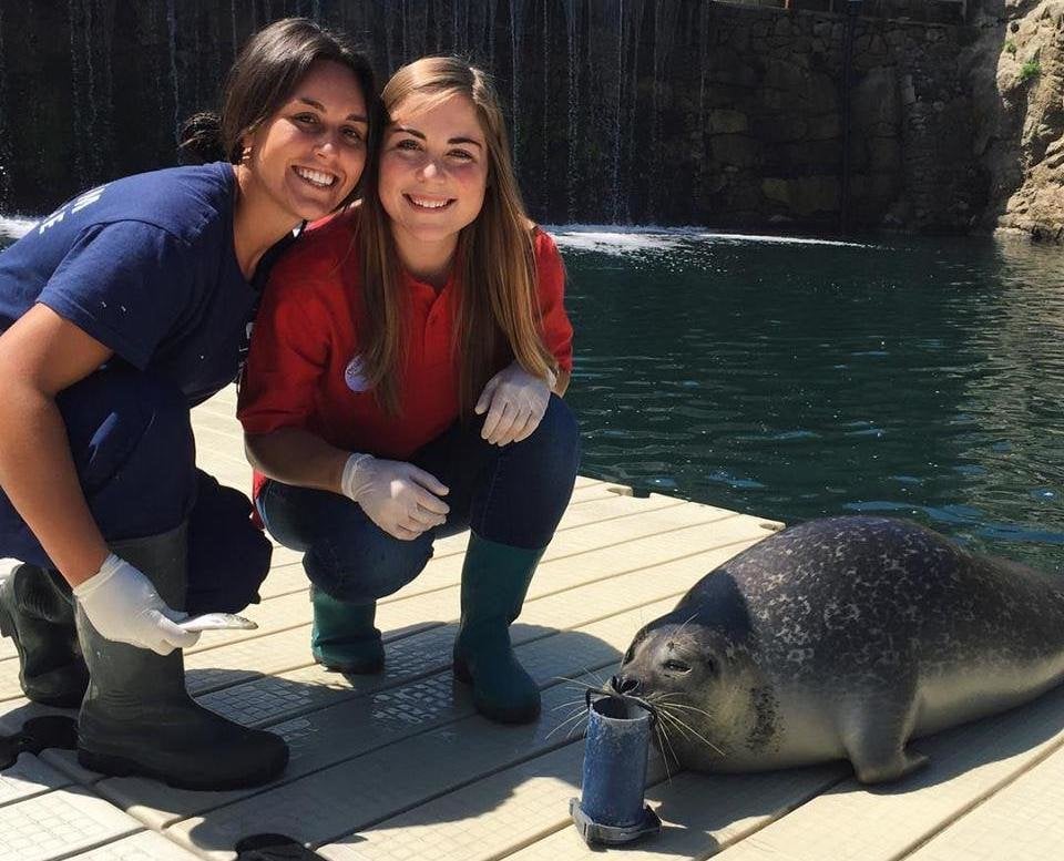 Photo credit: Christina H., Linguistic Horizons Alum Scholarships to Study Abroad in Spain - Photo by Christina H. - Linguistic Horizons- Internship in Spain 2